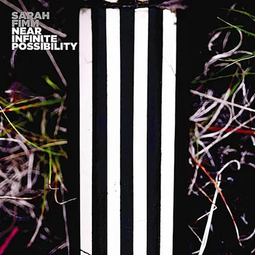 Near Infinite Possibility by Sarah Fimm - album cover