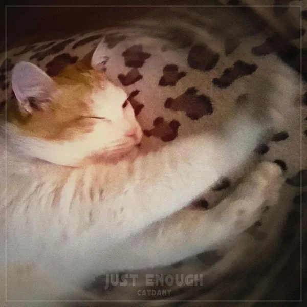 Just Enough
