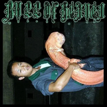 322: Scoundrel, Rogue, Monster by Bull of Heaven - album cover