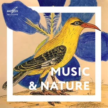 Music & Nature by Various Artists - album cover