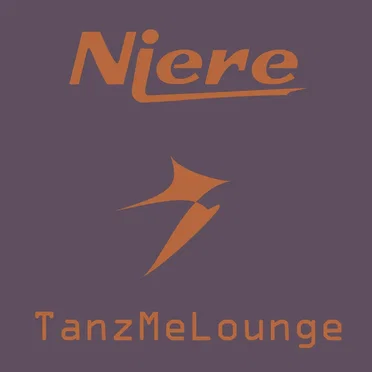 TanzMeLounge by Niere - album cover