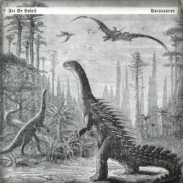 Bocosaurus