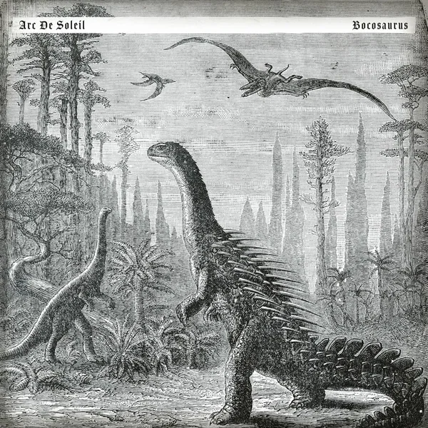 Bocosaurus