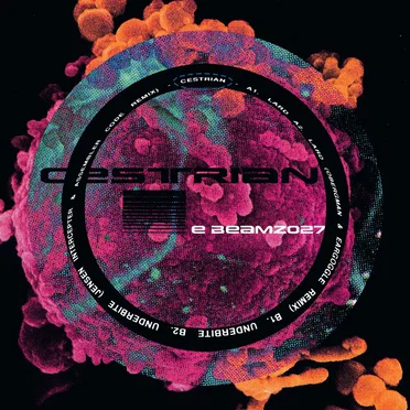 Underbite EP