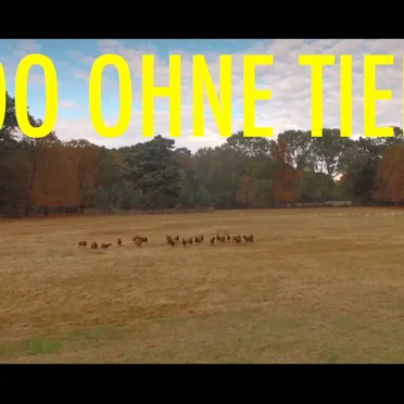 Zoo Ohne Tiere by Joscha Seehausen - album cover