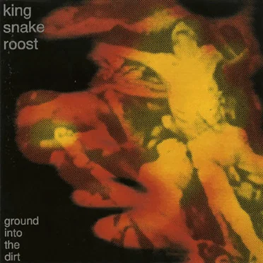 Ground Into The Dirt by King Snake Roost - album cover