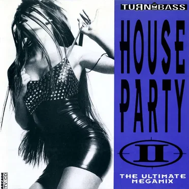 House Party II: The Ultimate Megamix by Various Artists - album cover