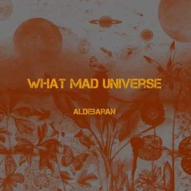 Aldebaran by What Mad Universe - album cover