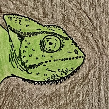The Chameleon