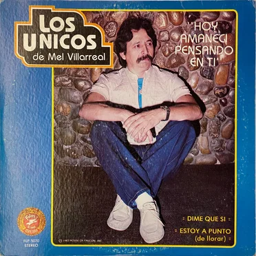 Los Unicos