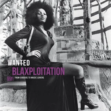 Wanted Blaxploitation by Various Artists - album cover