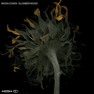 Slumber Wood by Moon Coven - album cover