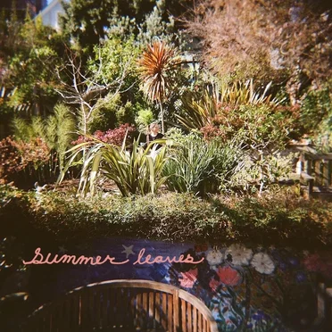 Summer Leaves by Bob Thayer - album cover