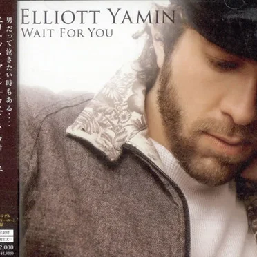 Wait For You by Elliott Yamin - album cover