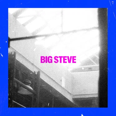 Big Steve by Pet Symmetry - album cover