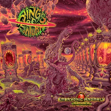 Embryonic Anomaly Remake by Rings of Saturn - album cover