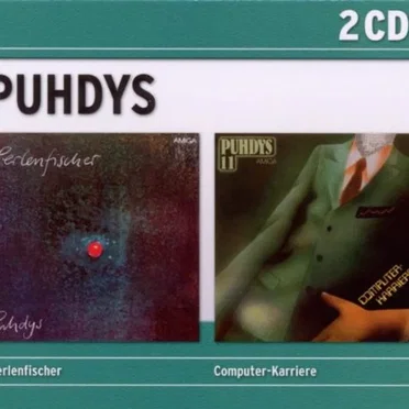 Perlenfischer / Computer-Karriere