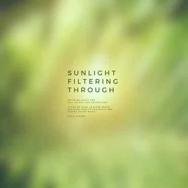 Sunlight Filtering Through
