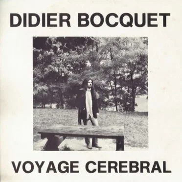 Voyage Cerebral