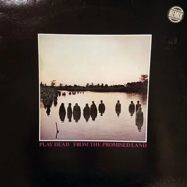 From the Promised Land
