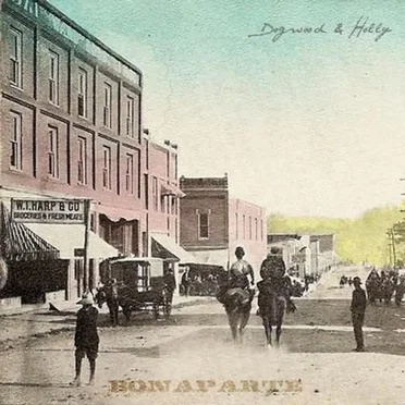 Bonaparte by Dogwood & Holly - album cover