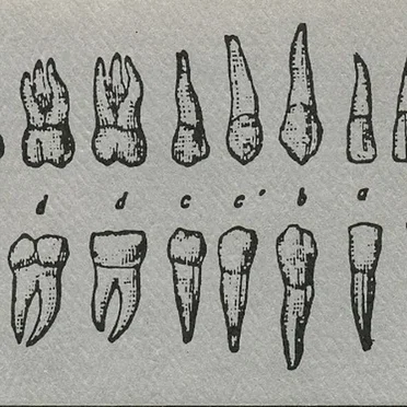 G-Radiation / The Transubstantiation of the Shit of Christ