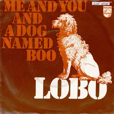 Me and You and a Dog Named Boo / Walk Away From It All