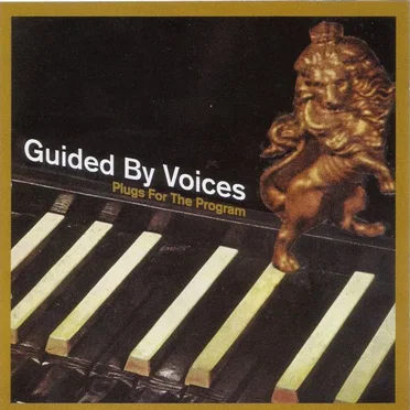 Plugs for the Program