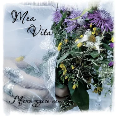 Меня здесь нет by Mea Vita - album cover