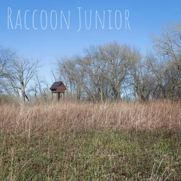 Raccoon Junior by Raccoon Junior - album cover