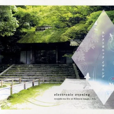 Electronic Evening by Various Artists - album cover