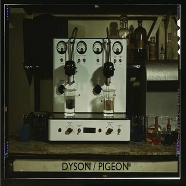 Dyson / Pigeon by Run Hide Survive - album cover