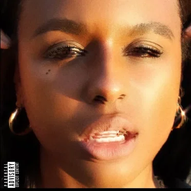 f**k it i'll do it myself by Jae Stephens - album cover