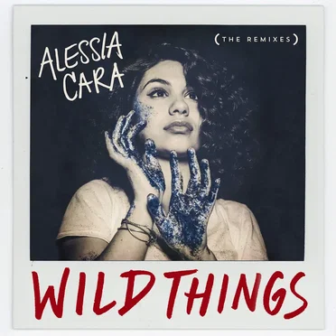 Wild Things (the remixes)
