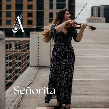 Señorita (Violin Cover)
