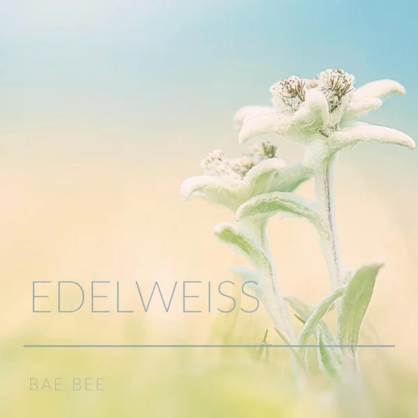 Edelweiss
