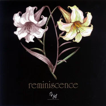 reminiscence