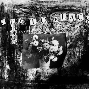 Cut to Black