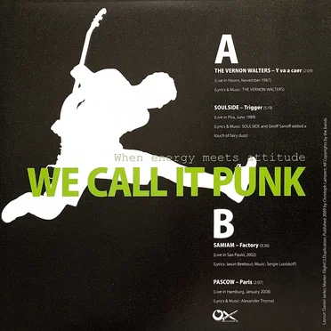 We Call It Punk by Various Artists - album cover