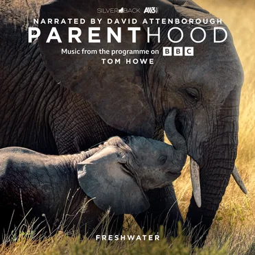 Parenthood: Freshwater (Music From The Programme On BBC)