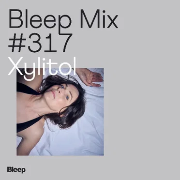 Bleep Mix #317 by Xylitol - album cover