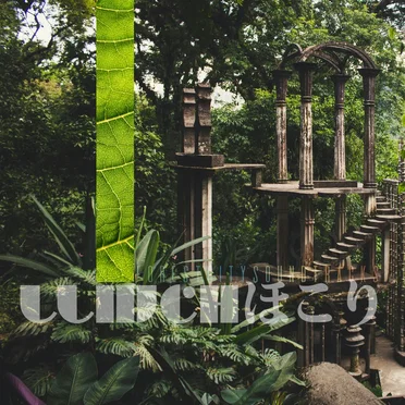 Forest City Soundtracks