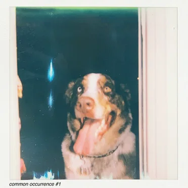 common occurrence #1 by common occurrence! - album cover