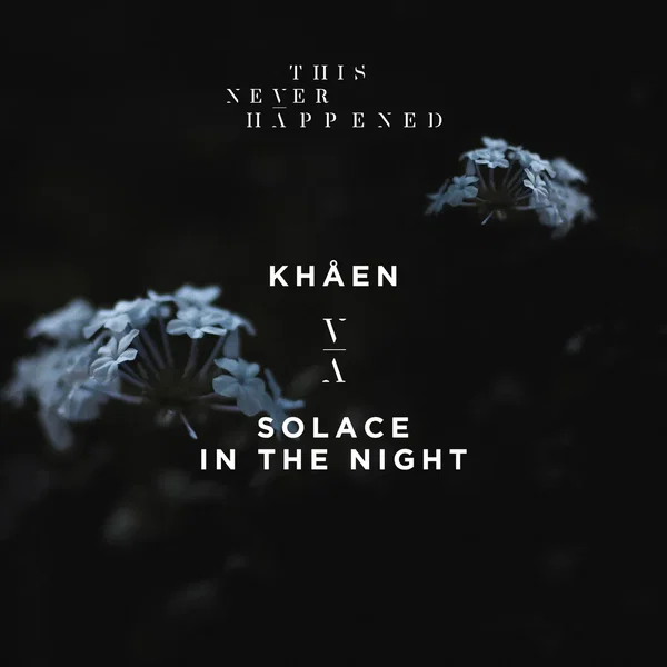 Solace In The Night