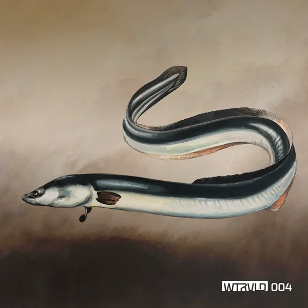 IV