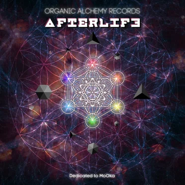 Afterlife by Various Artists - album cover