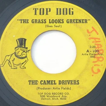 The Grass Looks Greener / It's Gonna Rain