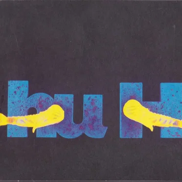 hu H (CD 4) by Various Artists - album cover