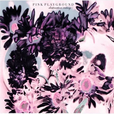 Destination Ecstasy by Pink Playground - album cover