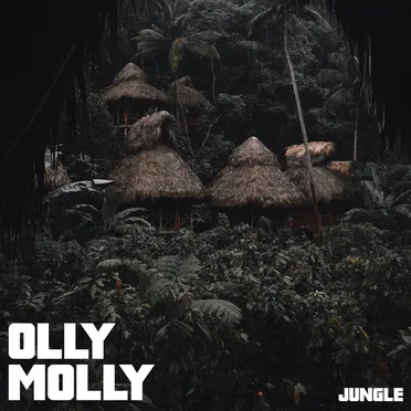 Jungle by Olly Molly - album cover
